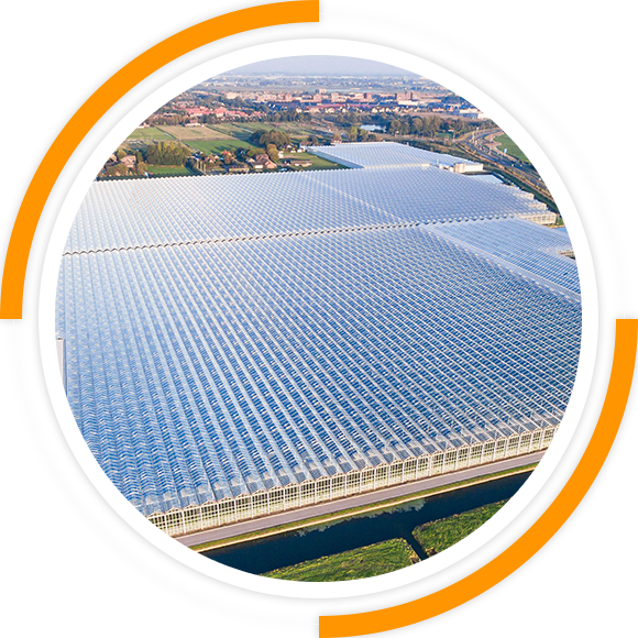 青州市恒晨農(nóng)業(yè)科技有限公司