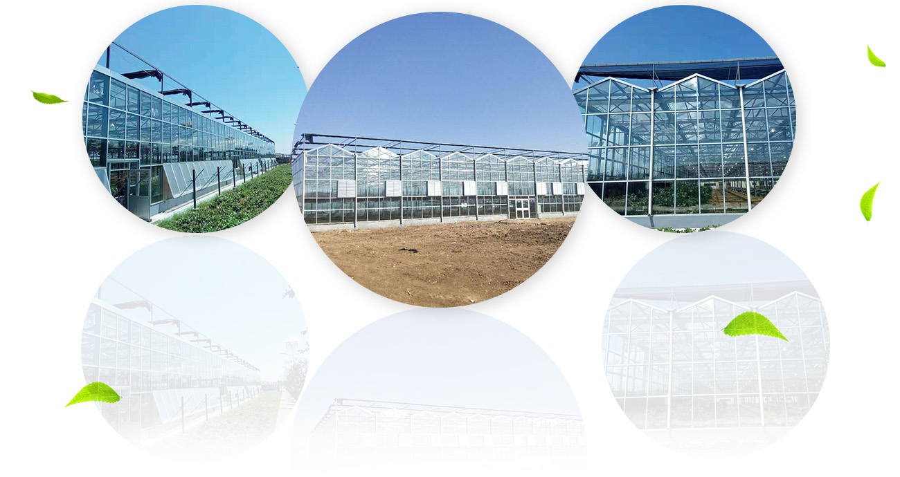 青州市恒晨農(nóng)業(yè)科技有限公司