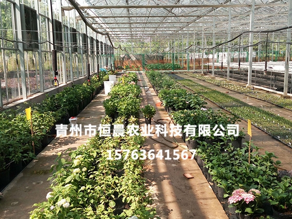 生態(tài)餐廳溫室