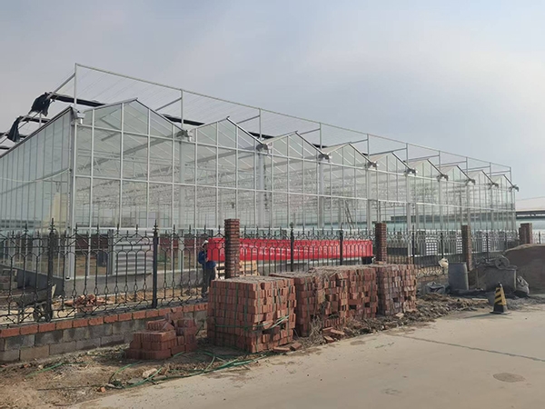 玻璃溫室濰坊工地