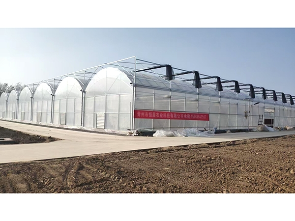 薄膜連棟溫室山東濟南工地